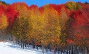 黑龙江五花山赏景地图新鲜发布，错过就是遗憾！