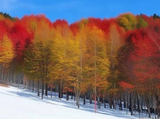 黑龙江五花山赏景地图新鲜发布，错过就是遗憾！